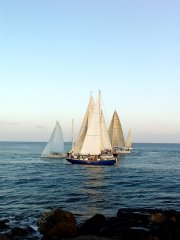 Yachts and Sailing Websites